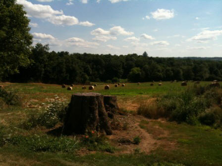 natuur bij Peyrat