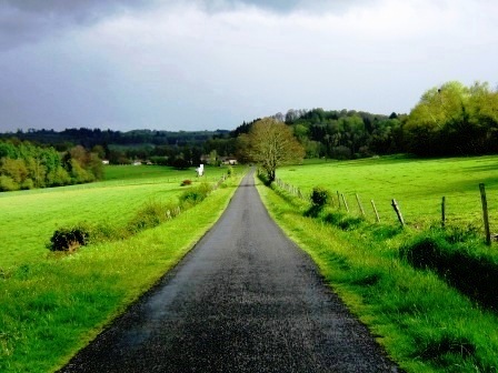 Omgeving tijdens wandeling 442